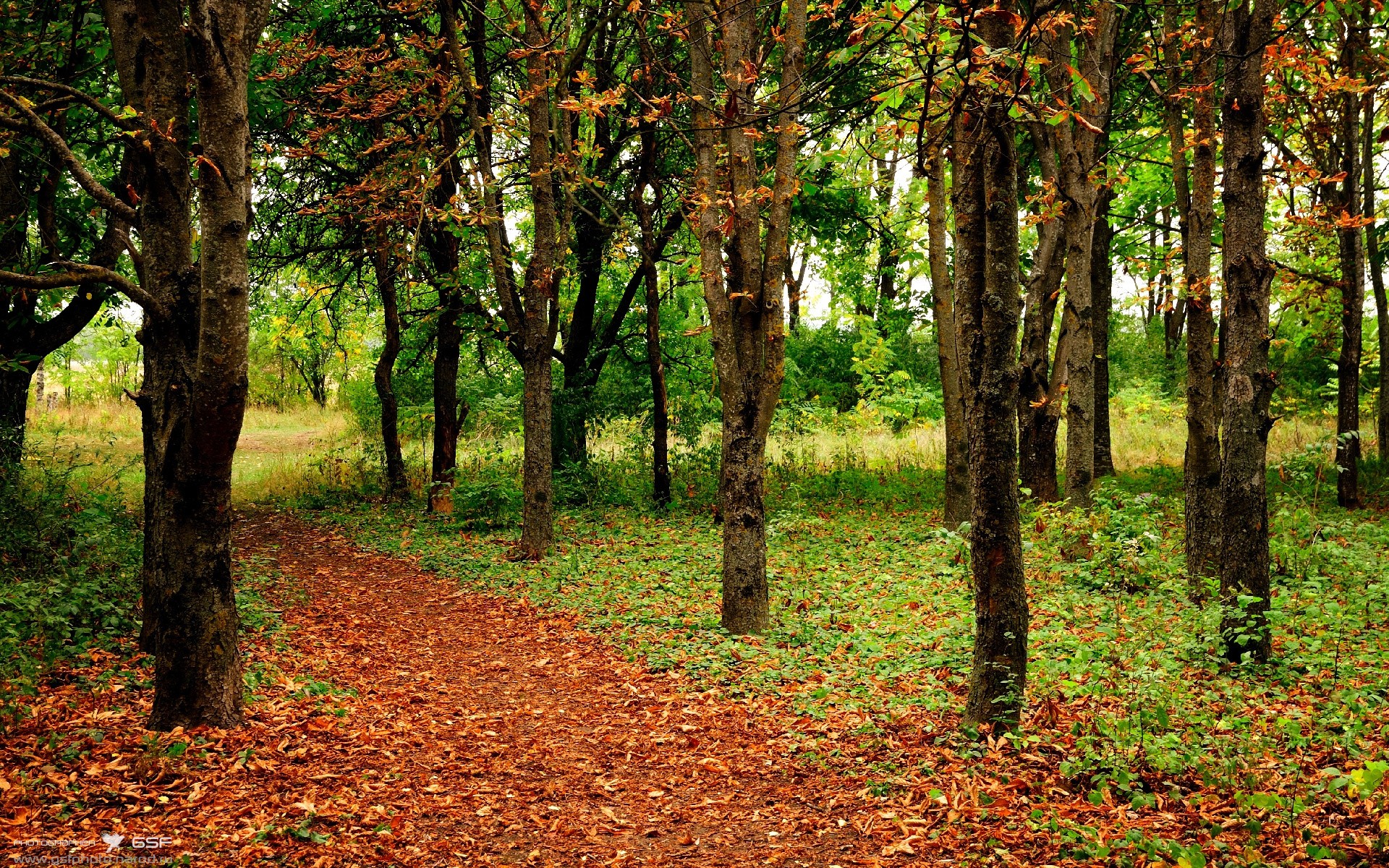 从足球到金融，楚阿梅尼如何成为美国收割摩纳哥的关键先生