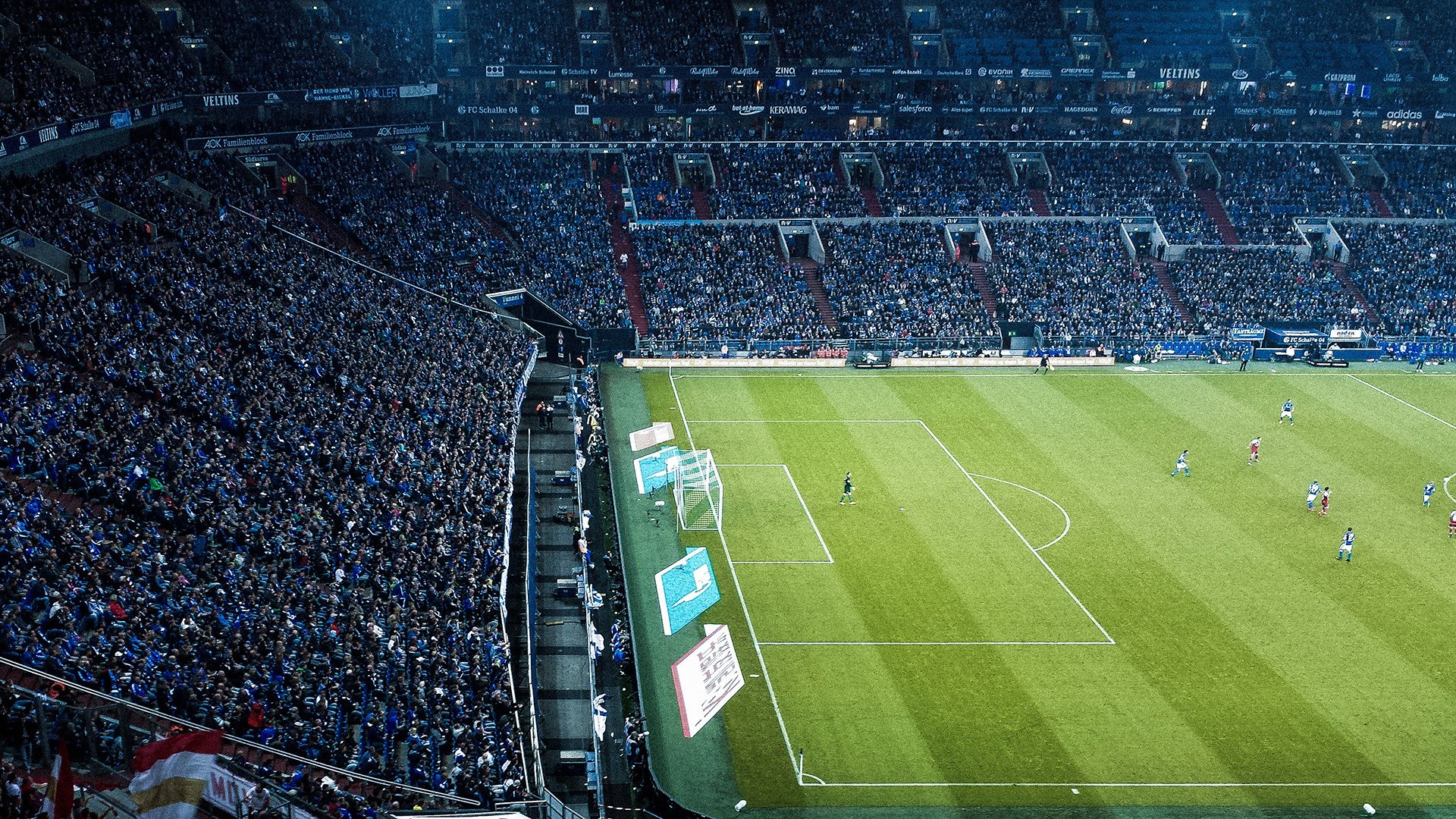 戴维斯杯横扫联合杯，兹维列夫刷新纪录，网球新格局正在形成