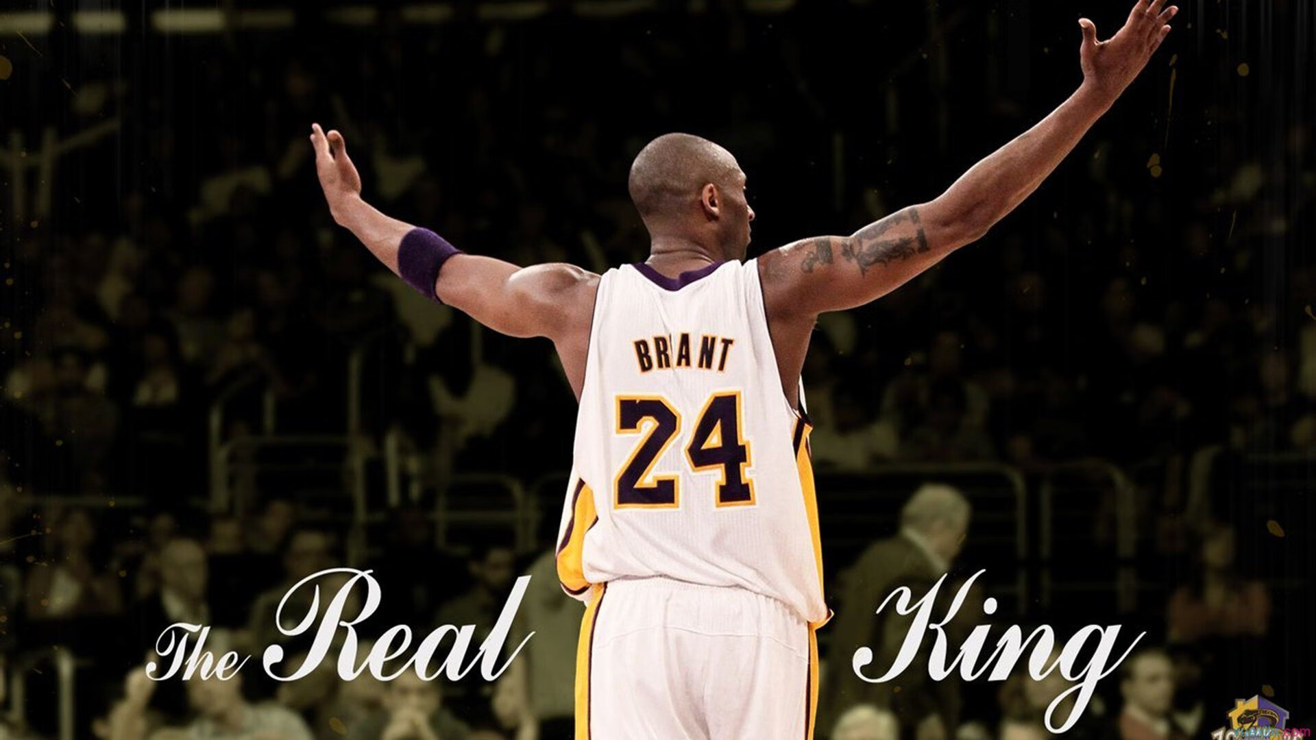 赛道风云，威廉姆斯完胜法拉利，佩雷兹高光表现改写格局